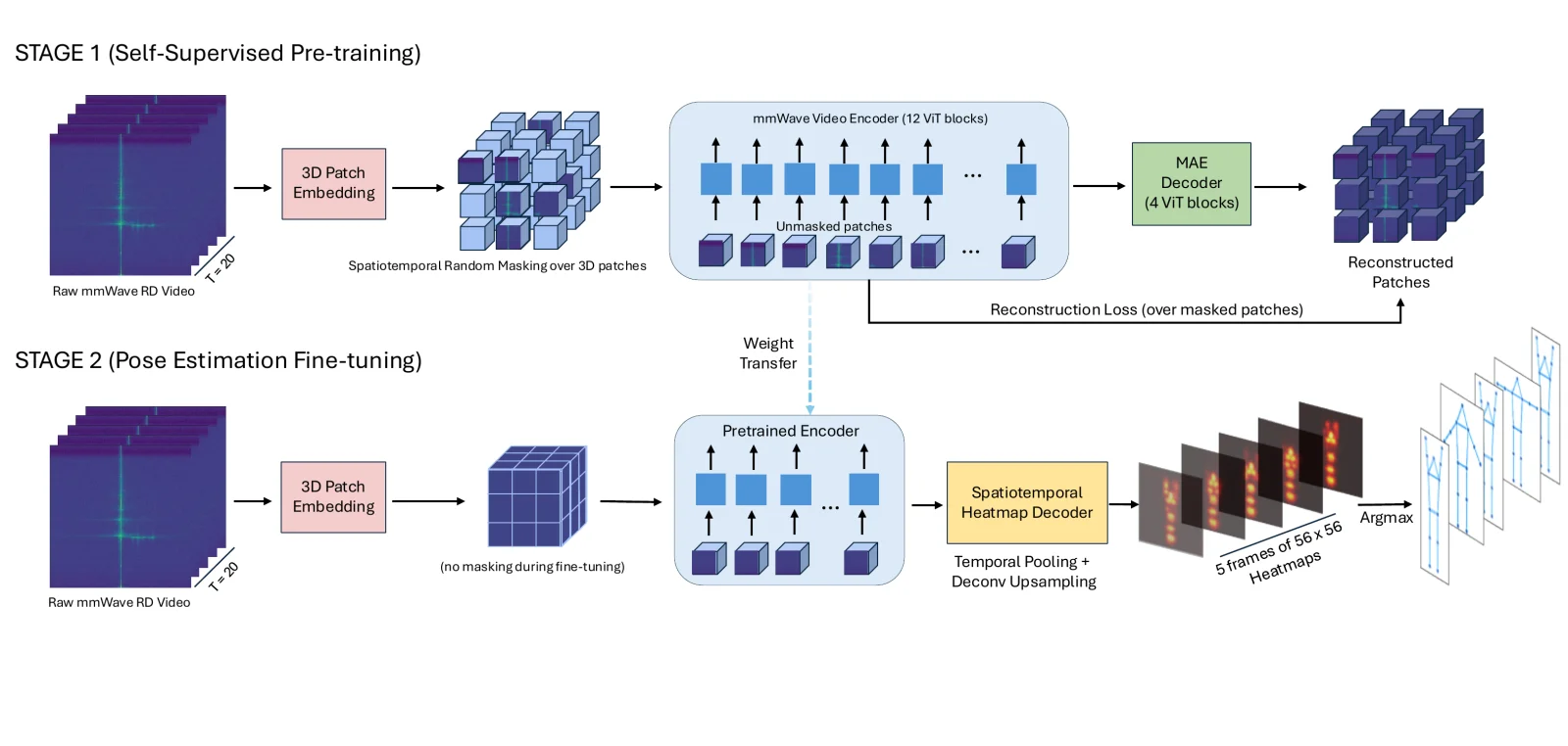 Two-stage diagram. Stage 1: a 20-frame Range-Doppler video is split into 3D patches, 90% are randomly masked, a 12-block ViT encoder processes the visible patches, and a 4-block decoder reconstructs the masked ones. Stage 2: the pre-trained encoder processes the full unmasked video, and a spatiotemporal heatmap decoder outputs five frames of 56 by 56 joint heatmaps, which argmax converts to skeletons.